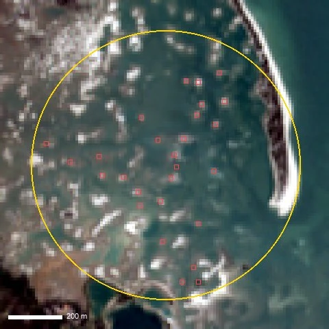 Potongan citra Sentinel-2 asli LAUT-0001, 21 Agu 2026: titik terang berkelompok di Teluk Kelabat dengan skala 200 m